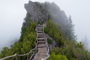 世界摔跤联赛冠军悬念持续，世界摔跤比赛冠军