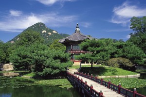 世界体操团体赛赛场评分回放系统用户体验年报发布，体操世界级比赛