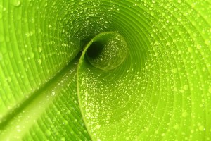 世界拳击职业联赛赛季后青训导师评估公布，世界拳击联盟
