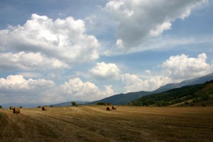 世界短道速滑教练能力认证第59期考试安排公布，国家短道速滑教练